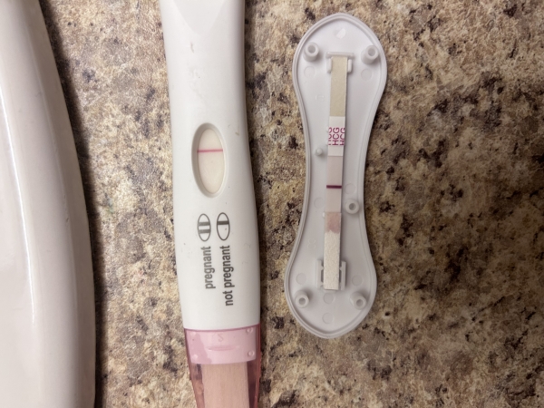 Home Pregnancy Test