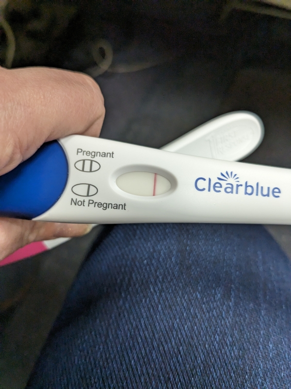 Home Pregnancy Test