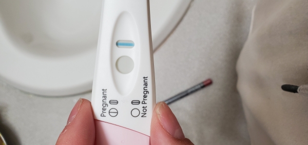 Home Pregnancy Test