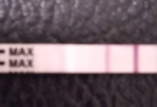 Clinical Guard Pregnancy Test, 12 Days Post Ovulation, FMU