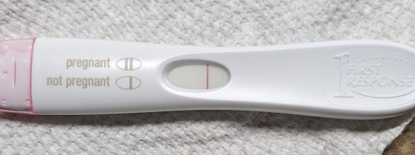 Home Pregnancy Test