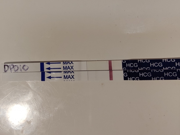 First Response Early Pregnancy Test, 12 Days Post Ovulation, FMU, Cycle Day 27