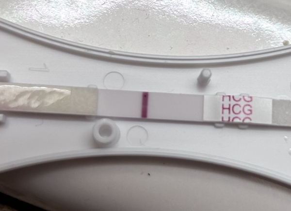 Home Pregnancy Test