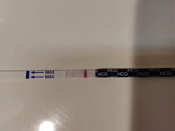 First Response Early Pregnancy Test, 13 Days Post Ovulation, FMU, Cycle Day 28