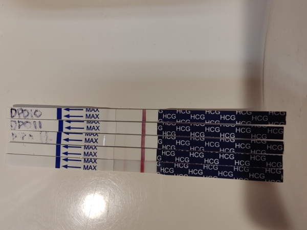 First Response Early Pregnancy Test, 13 Days Post Ovulation, FMU, Cycle Day 28