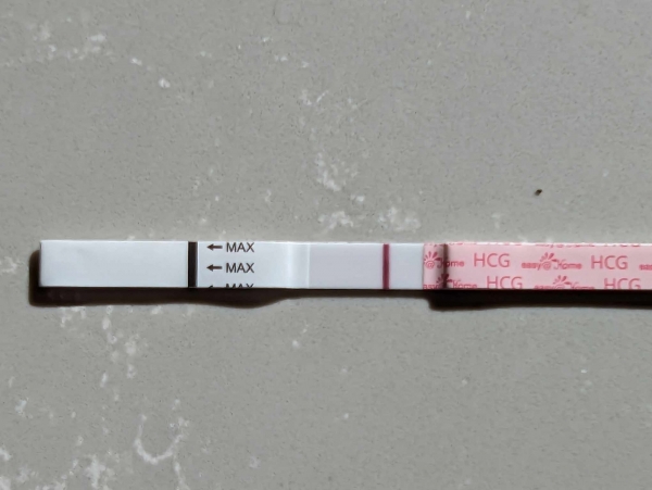 Easy-At-Home Pregnancy Test, 13 Days Post Ovulation