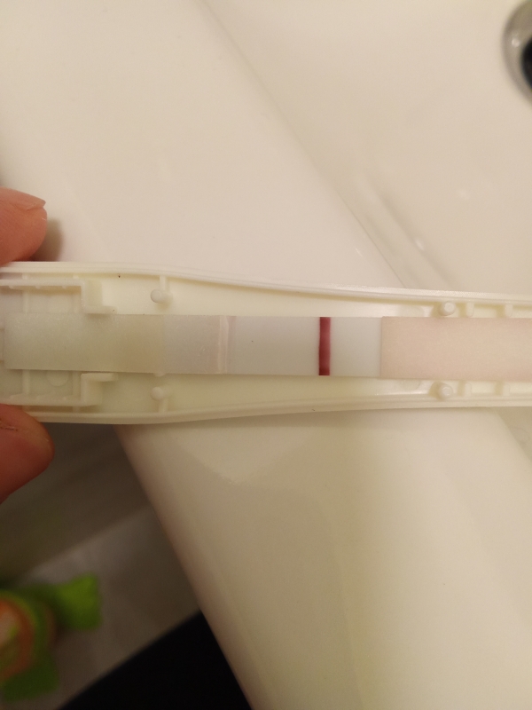 Pregmate Pregnancy Test, 10 Days Post Ovulation