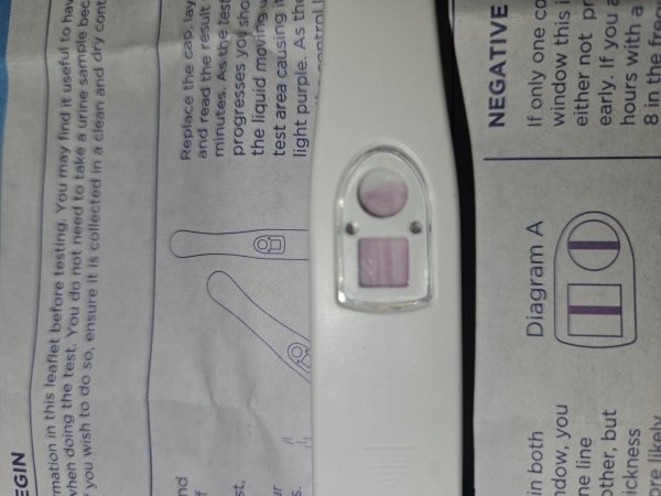 Home Pregnancy Test