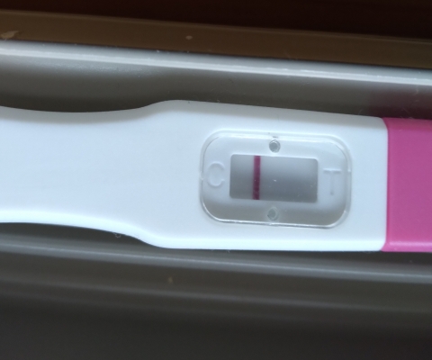 Home Pregnancy Test, 9 Days Post Ovulation