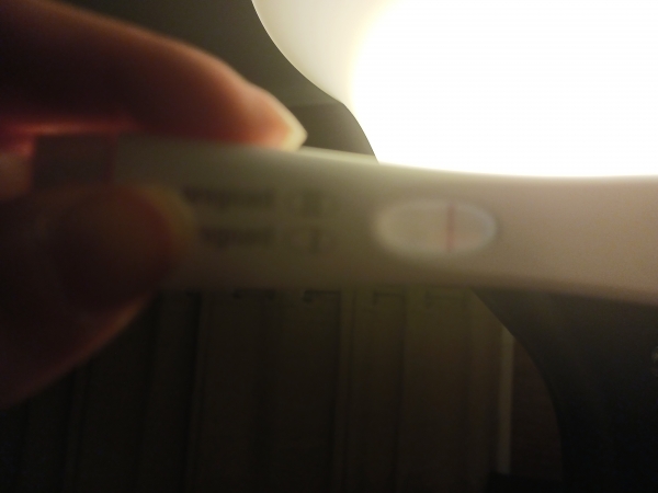 Home Pregnancy Test