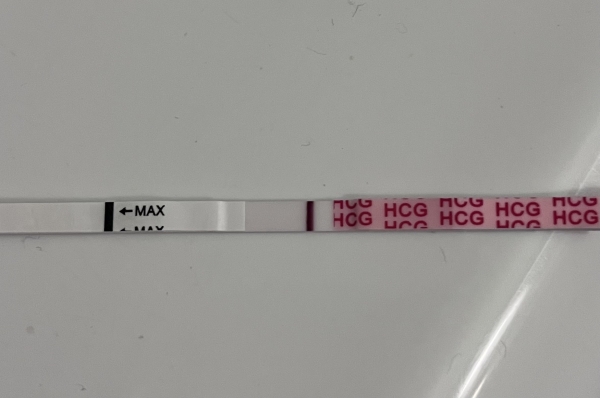 Wondfo Test Strips Pregnancy Test, 10 Days Post Ovulation, Cycle Day 24