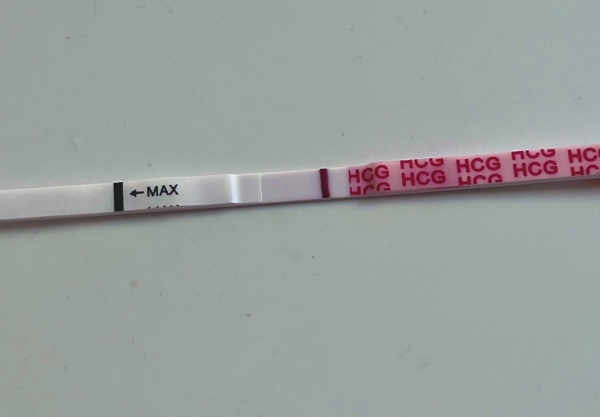 Wondfo Test Strips Pregnancy Test, 10 Days Post Ovulation, FMU, Cycle Day 24