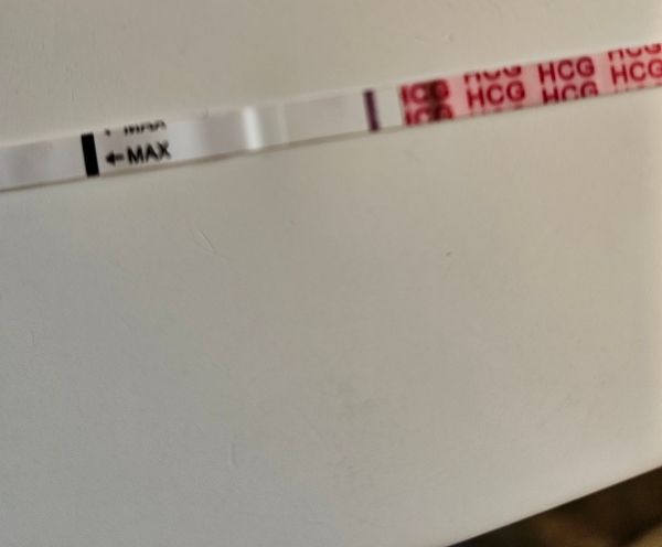 Wondfo Test Strips Pregnancy Test, 9 Days Post Ovulation, Cycle Day 23