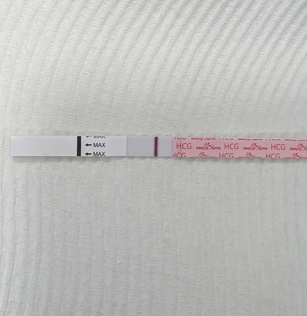 Home Pregnancy Test