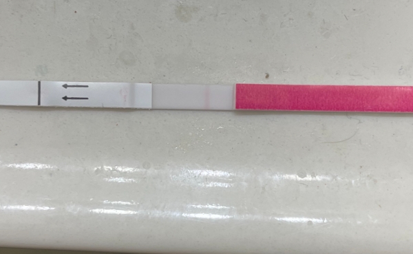 Home Pregnancy Test