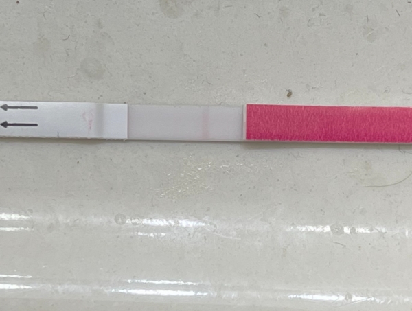 Home Pregnancy Test