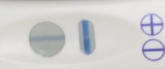 CVS One Step Pregnancy Test, 9 Days Post Ovulation, FMU