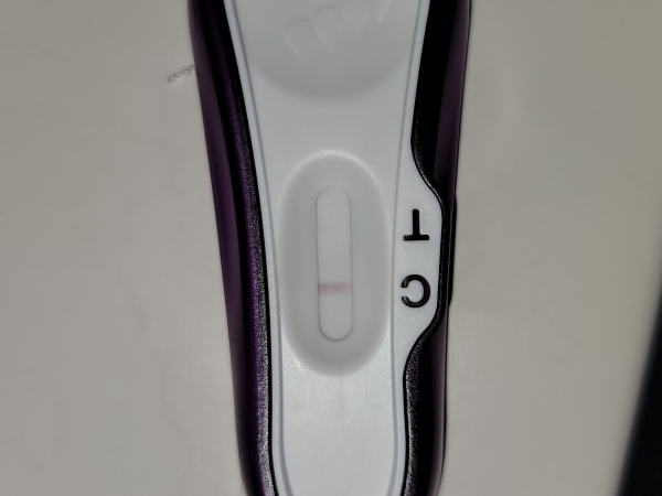 Home Pregnancy Test