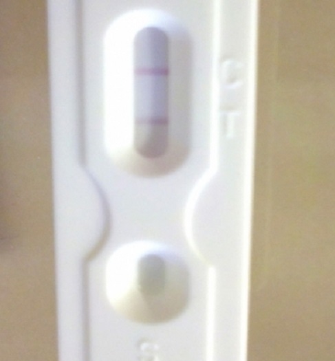 New Choice (Dollar Tree) Pregnancy Test, 12 Days Post Ovulation, FMU