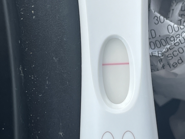 Home Pregnancy Test