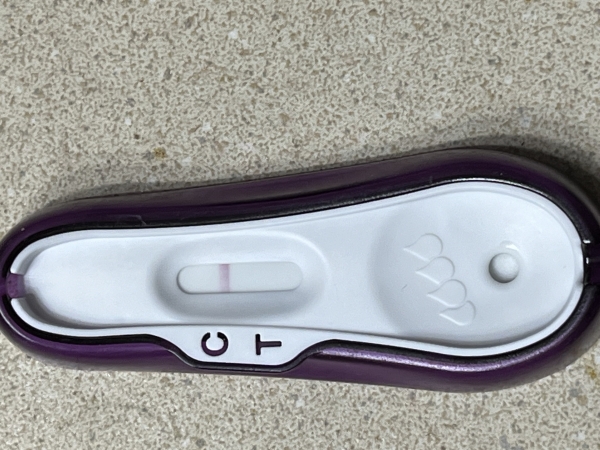 Home Pregnancy Test