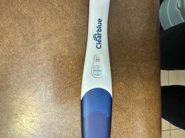 Clearblue Plus Pregnancy Test