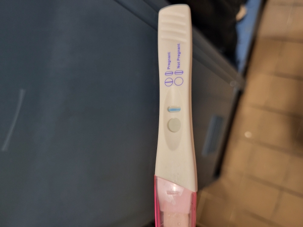 Home Pregnancy Test