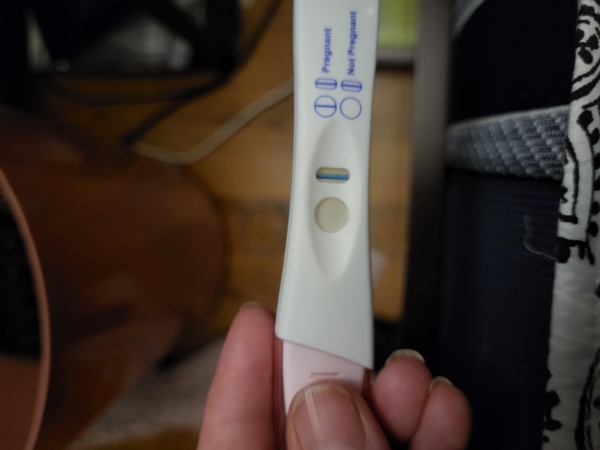 Home Pregnancy Test