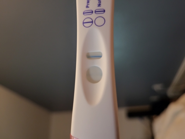 Home Pregnancy Test