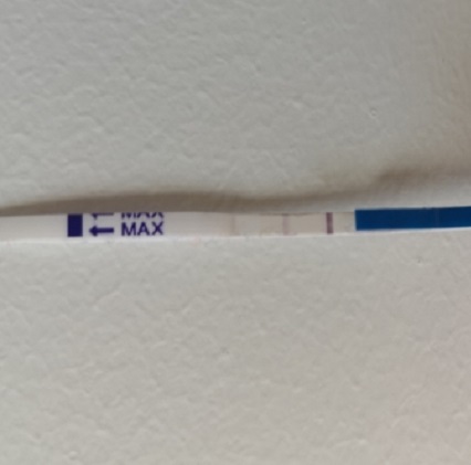 Home Pregnancy Test, 10 Days Post Ovulation, FMU