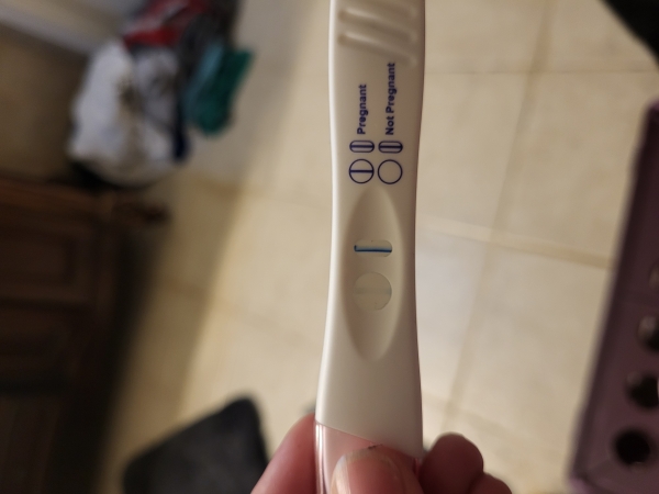 Generic Pregnancy Test, Cycle Day 27