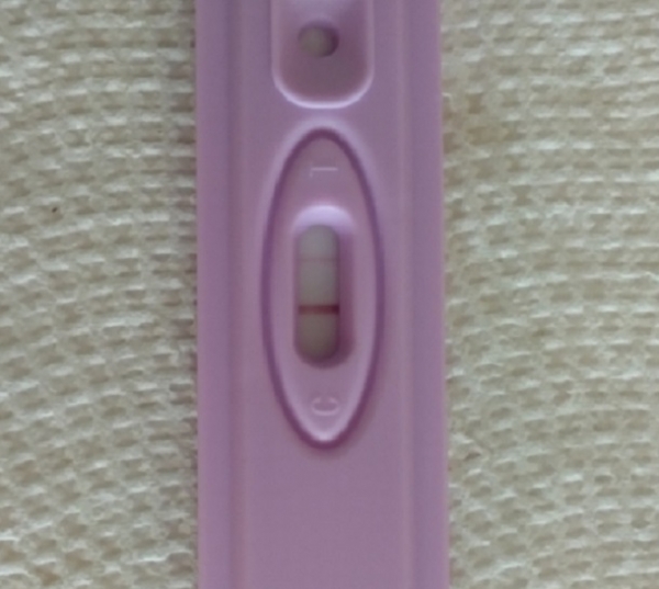New Choice (Dollar Tree) Pregnancy Test, 11 Days Post Ovulation, FMU