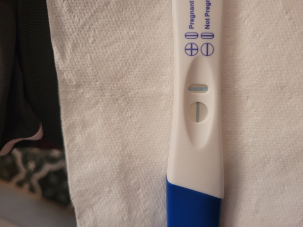 Home Pregnancy Test