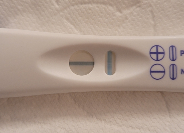 Home Pregnancy Test