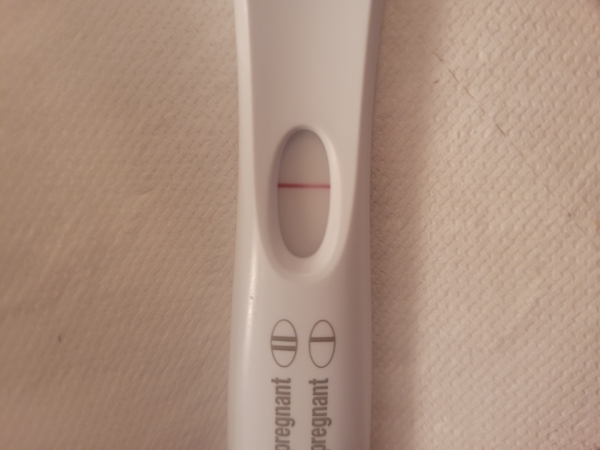 Home Pregnancy Test