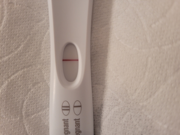 Home Pregnancy Test