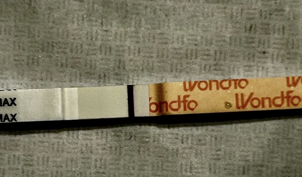 Wondfo Test Strips Pregnancy Test, 10 Days Post Ovulation, FMU