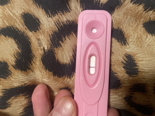 New Choice (Dollar Tree) Pregnancy Test