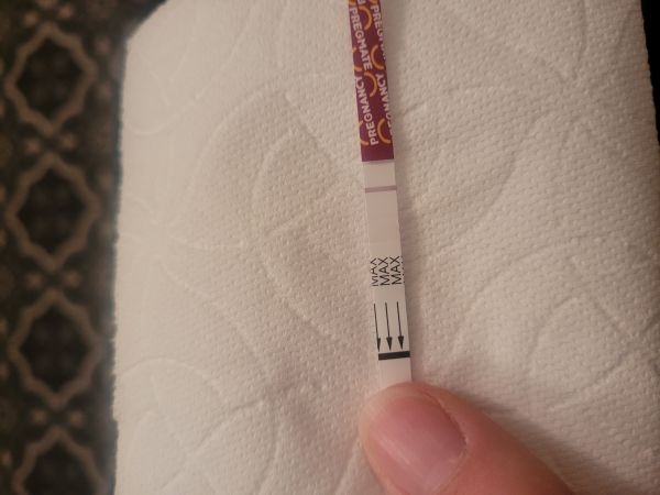 Home Pregnancy Test