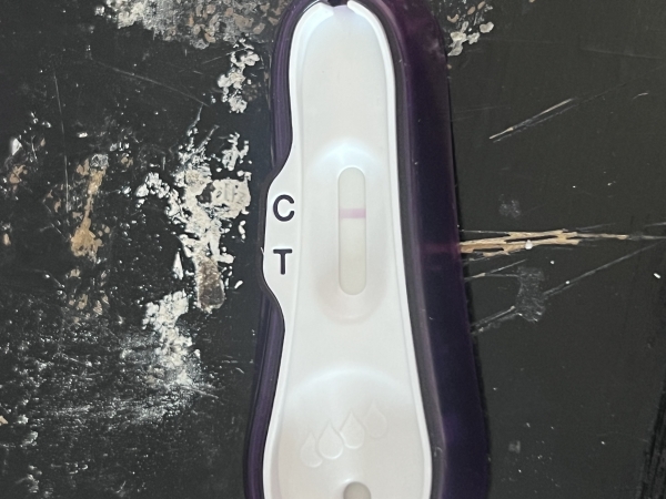 Equate Pregnancy Test