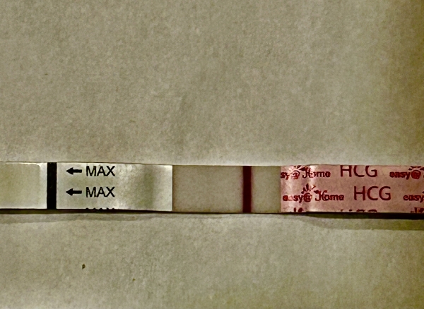 Easy-At-Home Pregnancy Test, 13 Days Post Ovulation