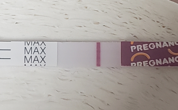 Home Pregnancy Test