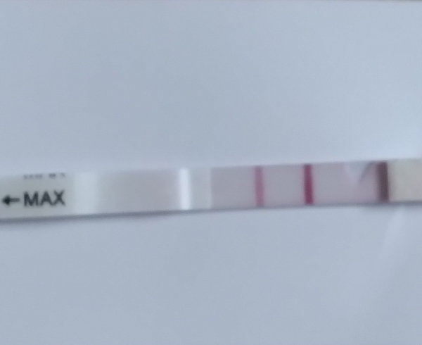 Generic Pregnancy Test, 15 Days Post Ovulation, FMU