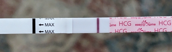 Home Pregnancy Test