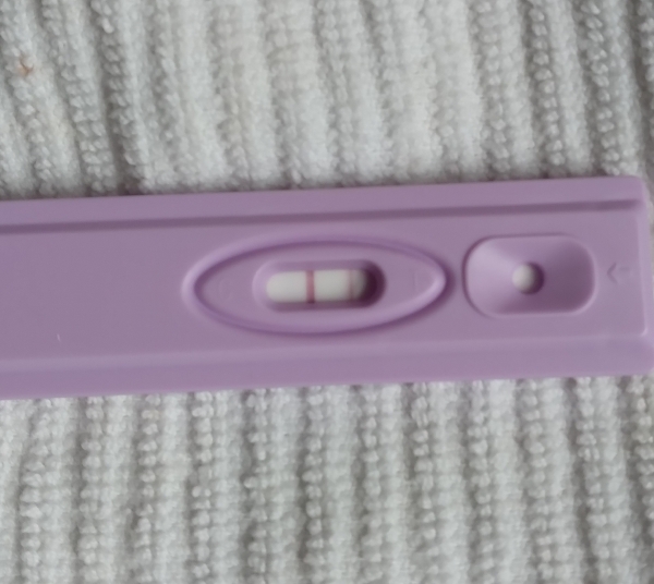 New Choice (Dollar Tree) Pregnancy Test, 12 Days Post Ovulation