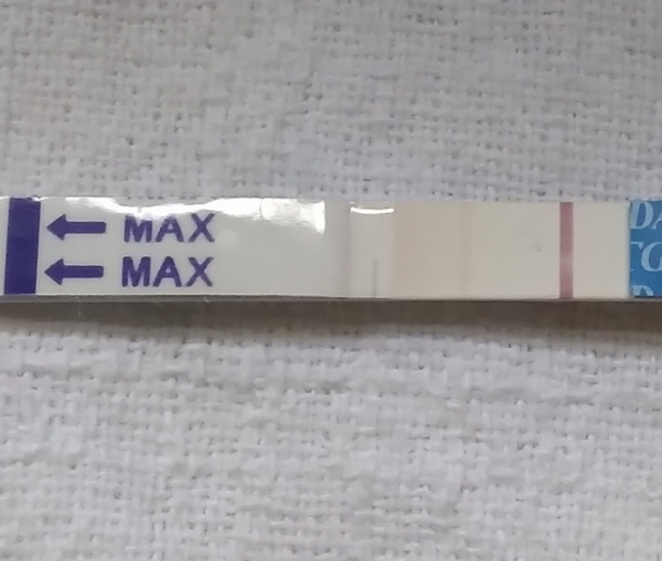 Home Pregnancy Test, 10 Days Post Ovulation, Cycle Day 25