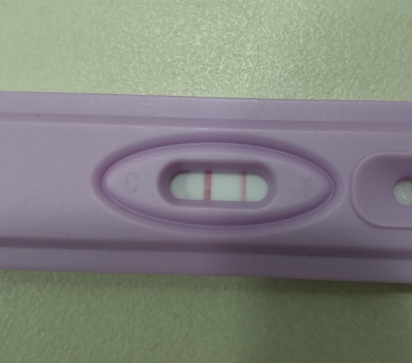 New Choice (Dollar Tree) Pregnancy Test, 12 Days Post Ovulation, FMU