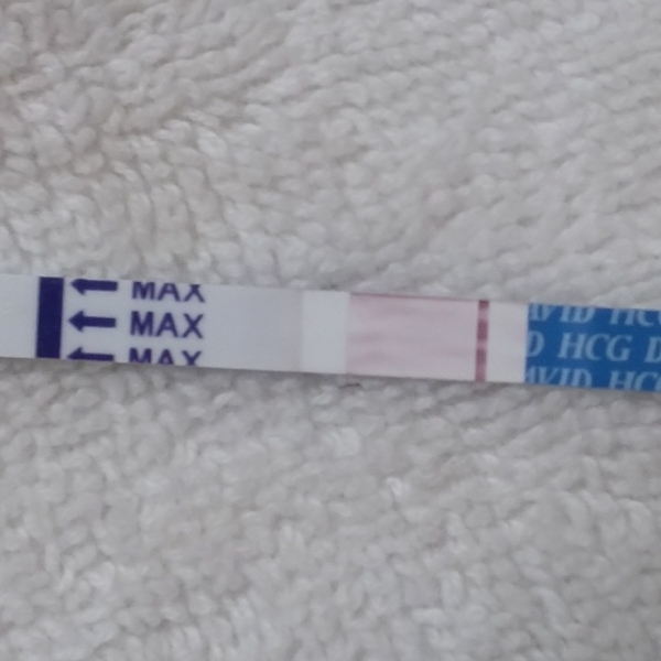 Home Pregnancy Test, 8 Days Post Ovulation