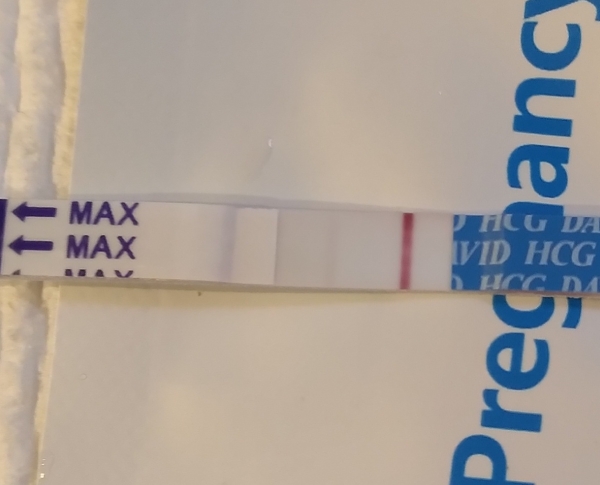 Home Pregnancy Test, 9 Days Post Ovulation, FMU