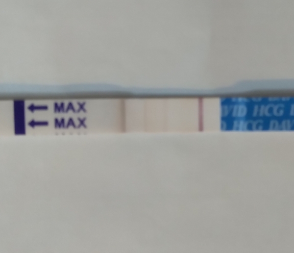 Home Pregnancy Test, 10 Days Post Ovulation, FMU